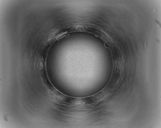 X0000098200702200804241253