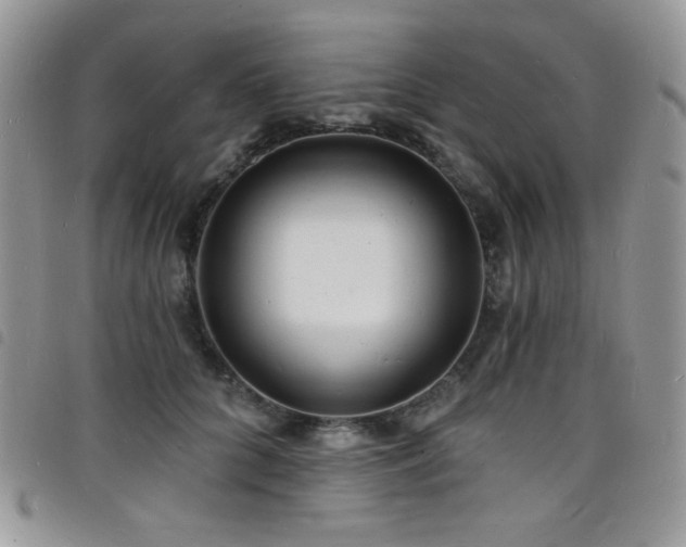 X0000098200704200804241253