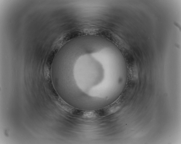 X0000098200705200804241253