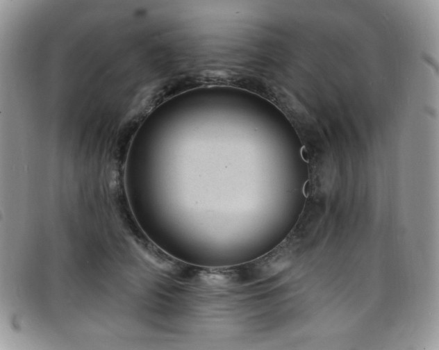 X0000098200706200804241253