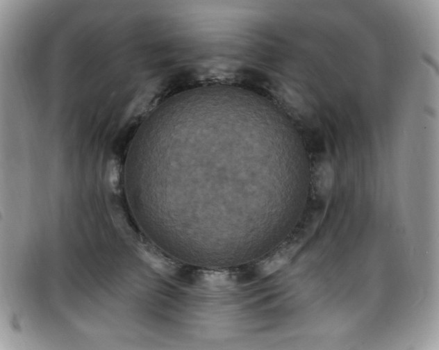 X0000098200709200804241253