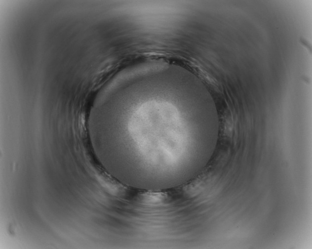 X0000098200711200804241253