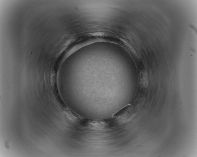 X0000098200712200804241253
