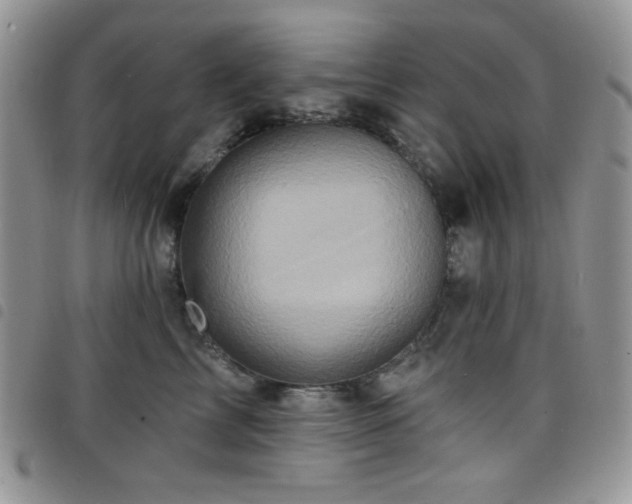 X0000098200713200804241253