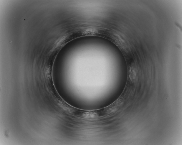 X0000098200714200804241253