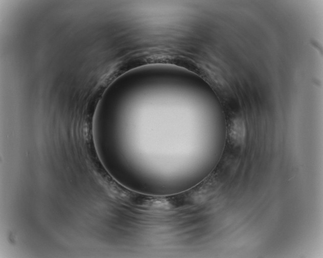 X0000098200715200804241253