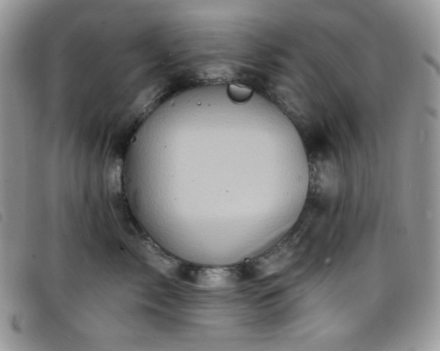 X0000098200717200804241253