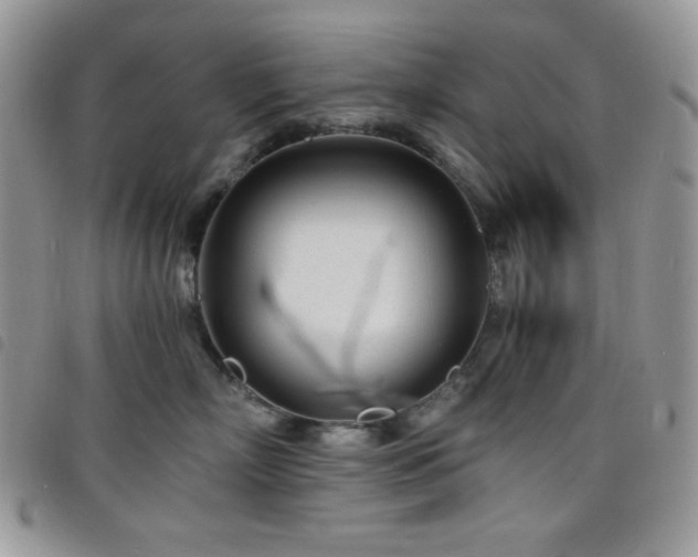 X0000098200718200804241253