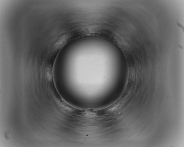 X0000098200719200804241253