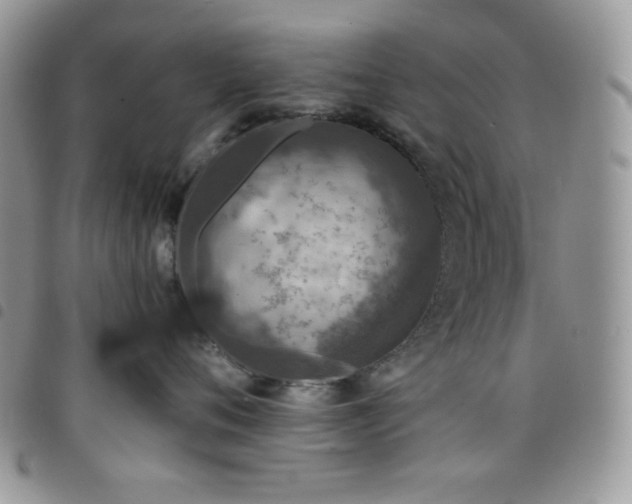 X0000098200720200804241252