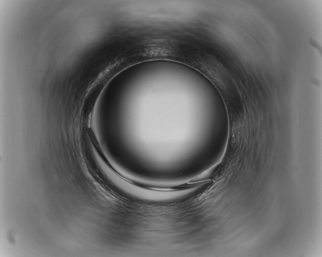 X0000098200722200804241252