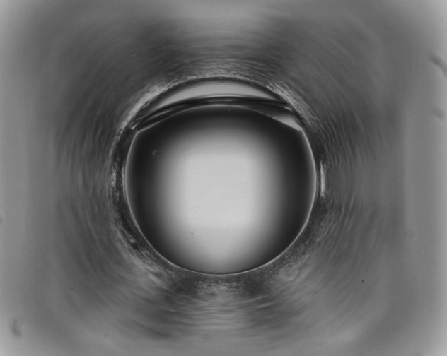 X0000098200723200804241252