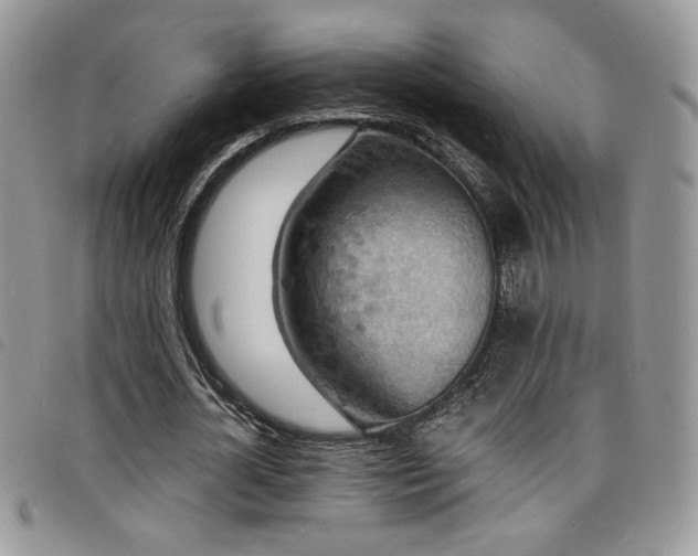 X0000098200724200804241252