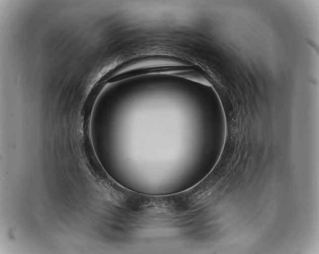 X0000098200727200804241252