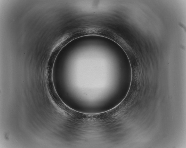 X0000098200730200804241252