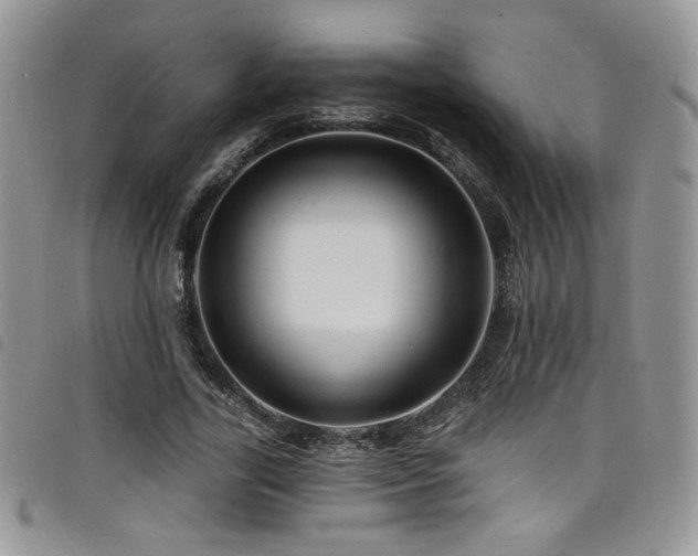 X0000098200731200804241252