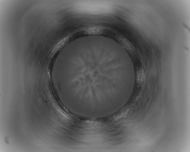 X0000098200733200804241252