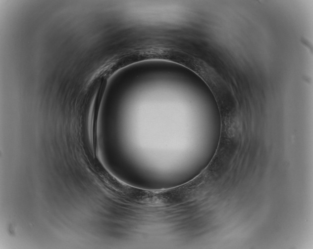 X0000098200735200804241252