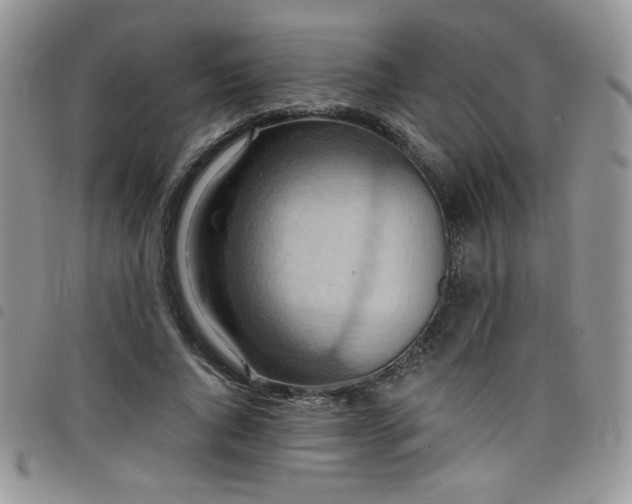 X0000098200736200804241252