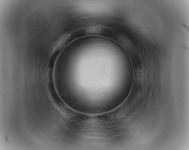 X0000098200738200804241252