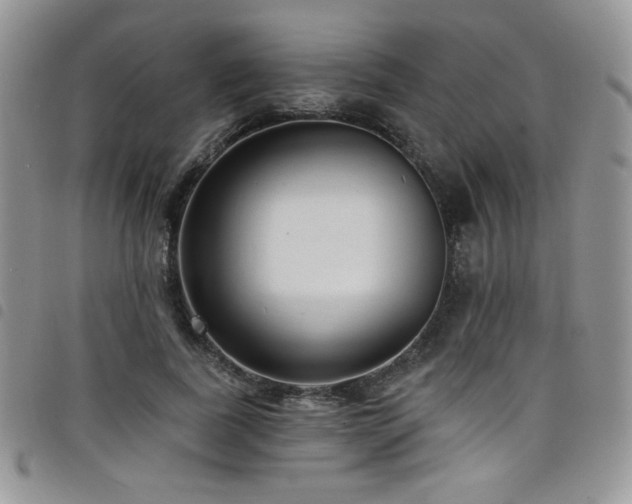 X0000098200739200804241252