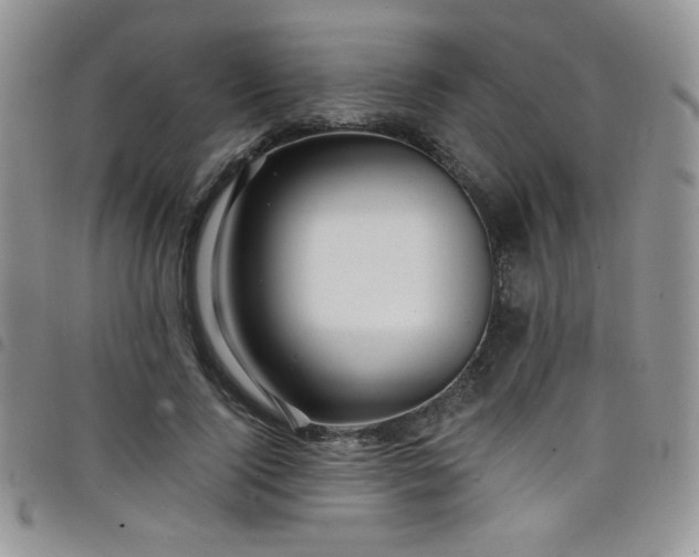 X0000098200740200804241252