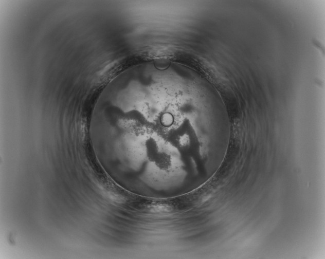 X0000098200741200804241252