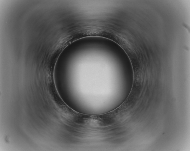 X0000098200743200804241252