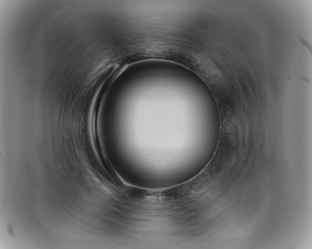 X0000098200744200804241252