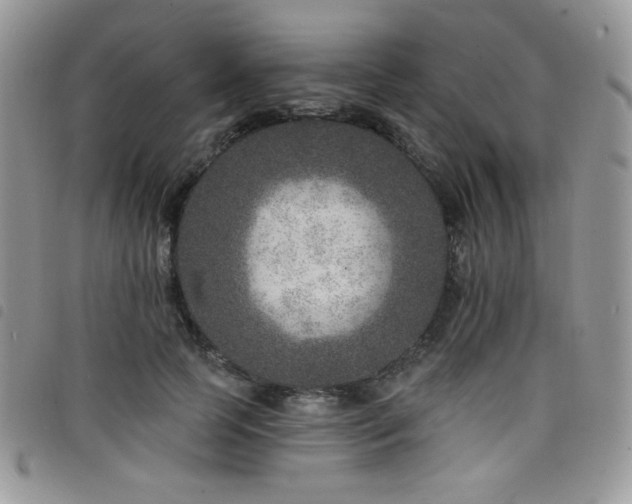 X0000098200745200804241252