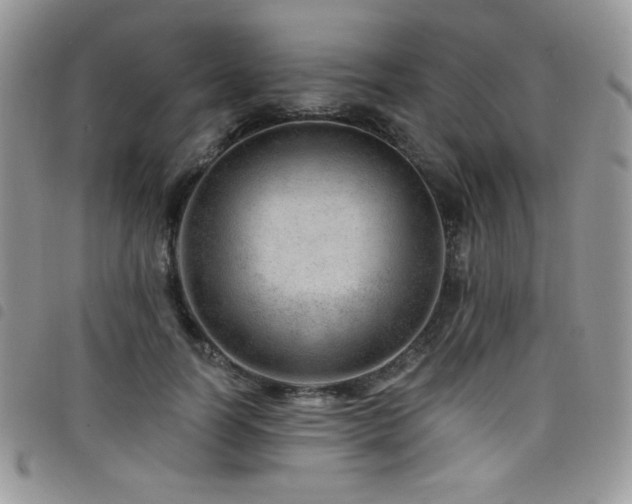 X0000098200746200804241252
