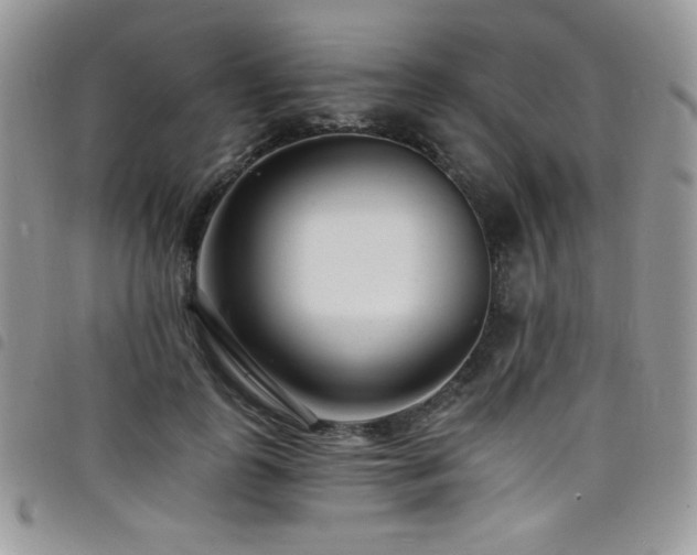 X0000098200747200804241252