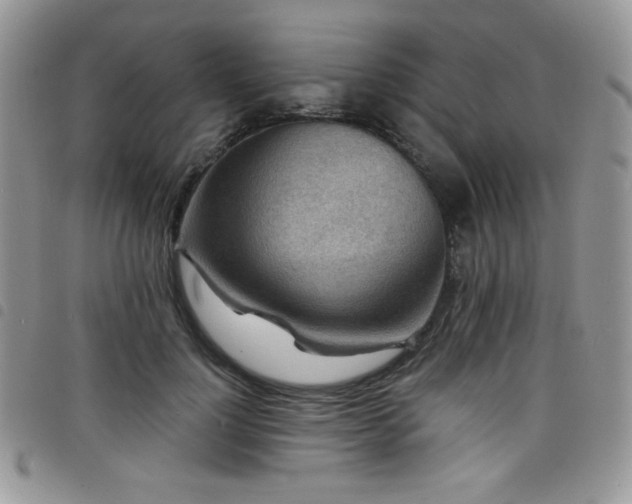 X0000098200748200804241252