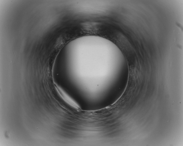 X0000098200752200804241252