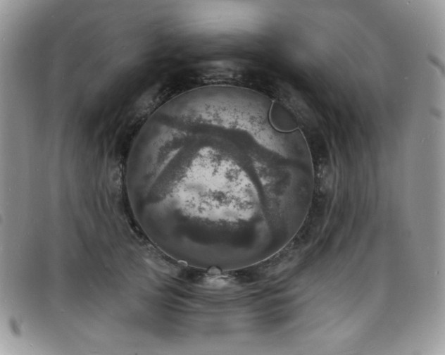 X0000098200753200804241252