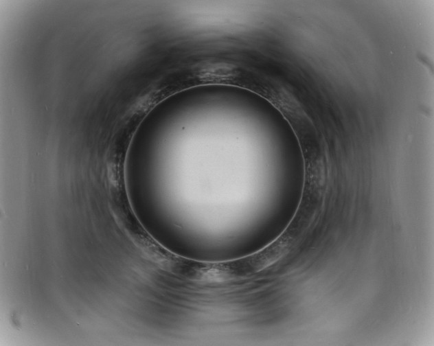 X0000098200755200804241252