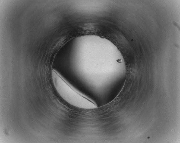 X0000098200756200804241252