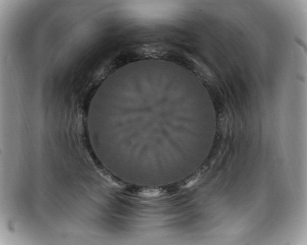 X0000098200757200804241252
