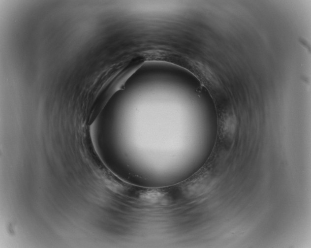 X0000098200759200804241252
