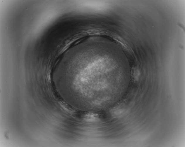 X0000098200760200804241252