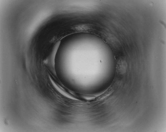 X0000098200762200804241252