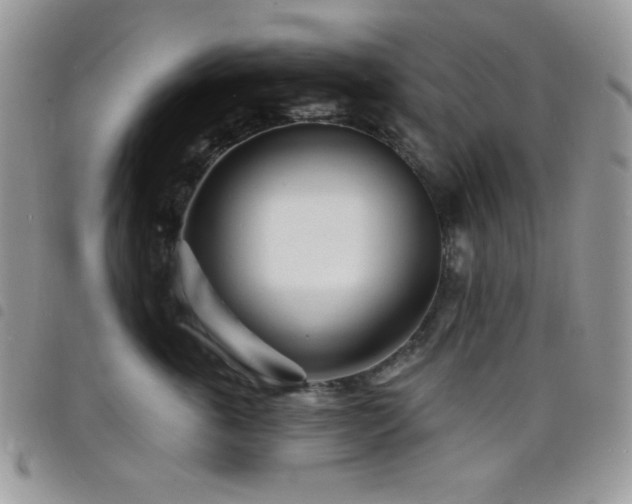 X0000098200763200804241252