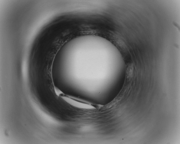 X0000098200764200804241252