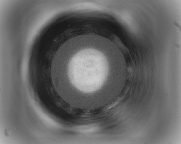 X0000098200765200804241252