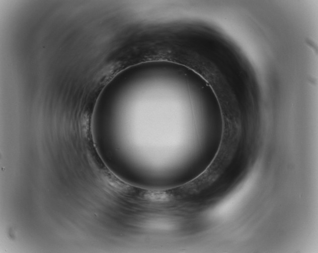 X0000098200767200804241252