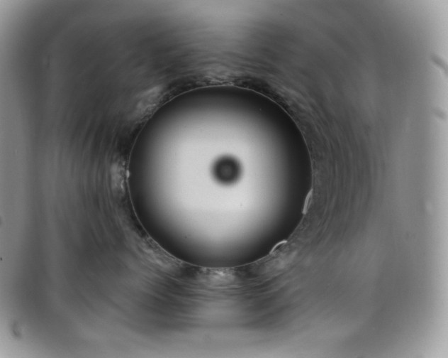 X0000098200768200804241252