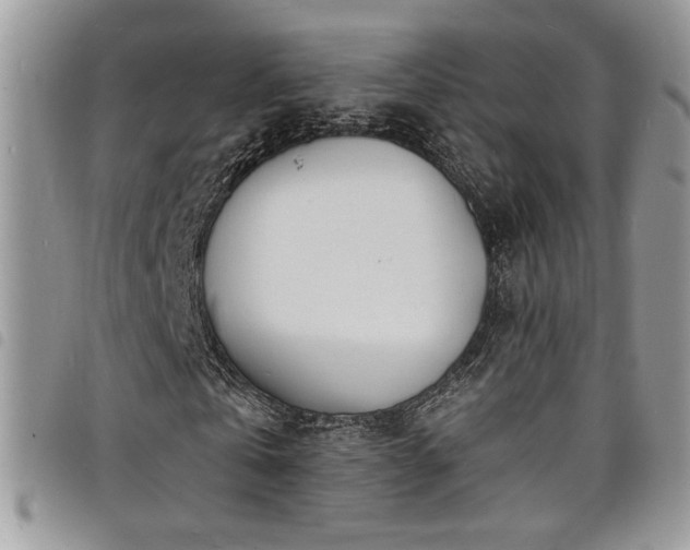 X0000098200769200804241252