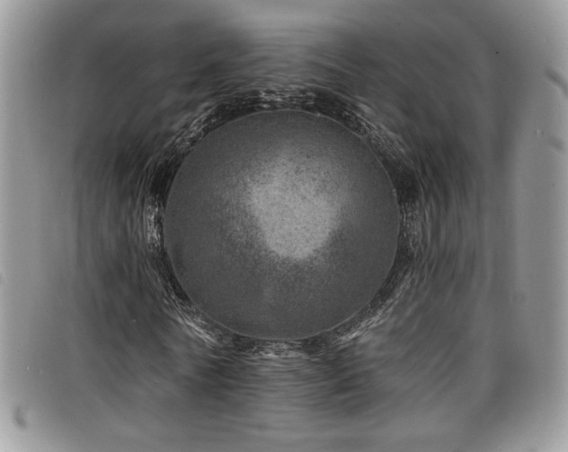 X0000098200770200804241252