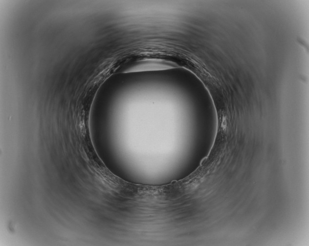 X0000098200771200804241252