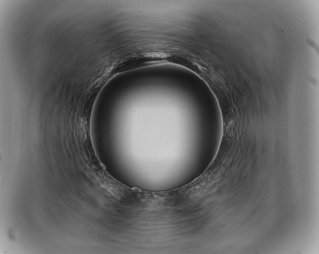 X0000098200772200804241252